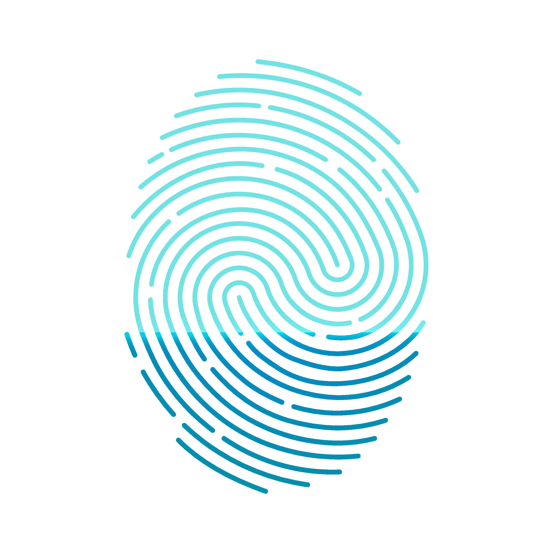 Paperless KYC & Verification